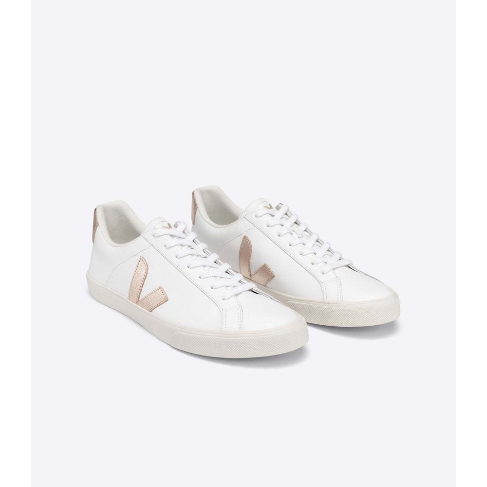 Women's Veja ESPLAR LEATHER Sneakers White/Brown | SG 606TCE